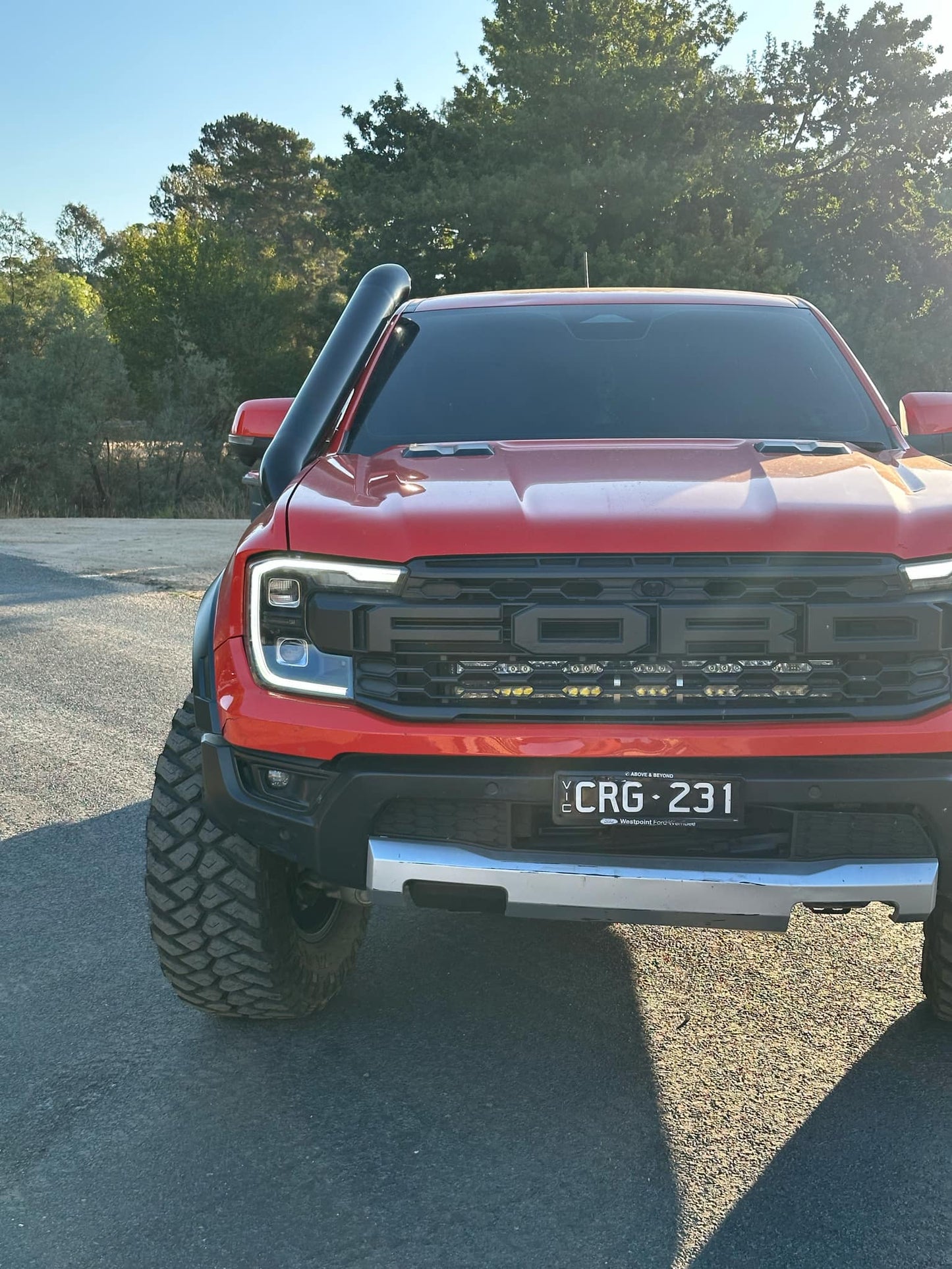 Ford Raptor 2021-current Stainless Snorkel