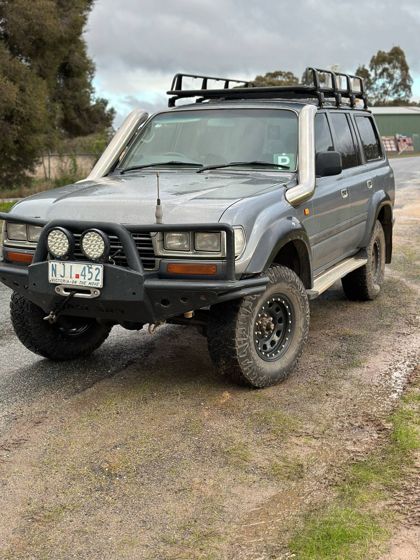 Twin snorkel
